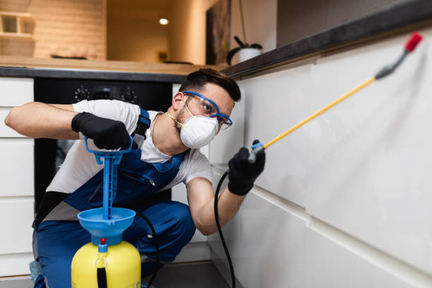 Best Cockroach Control Services  in Spring Lake Park, MN