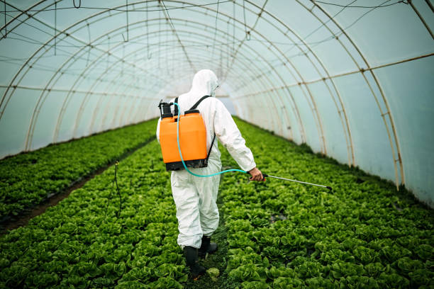 Best Pest Control Near Me  in Spring Lake Park, MN