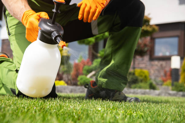 Best Affordable Pest Control Services  in Spring Lake Park, MN
