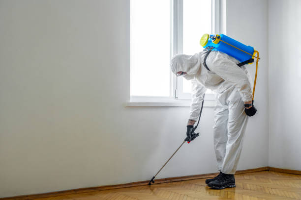 Best Residential Pest Control  in Spring Lake Park, MN