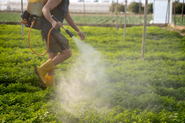 Best Mosquito Control Services  in Spring Lake Park, MN